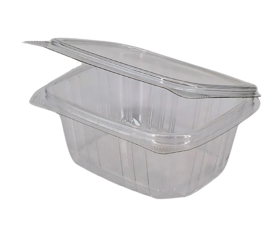 Value+ - 16oz Clear Hinged Deli Container - PET - BD16 - Image 3