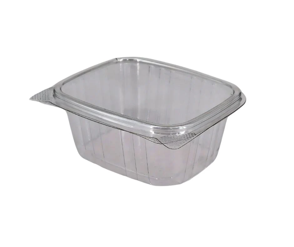 Value+ - 16oz Clear Hinged Deli Container - PET - BD16 - Image 4