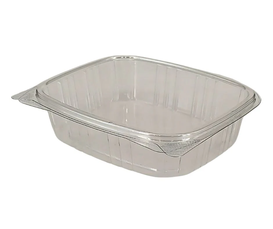 Value+ - 16oz Clear Hinged Deli Container - PET - BD16 - Image 8