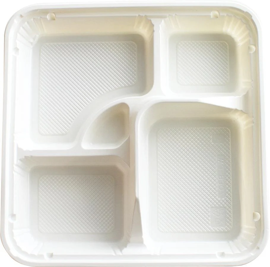 Bento Box w/Lid - HQ-307 - Image 4