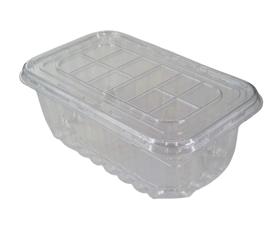 Decora - Plastic Cake Box Clear - Combo - 11.42''x7'' - Image 5