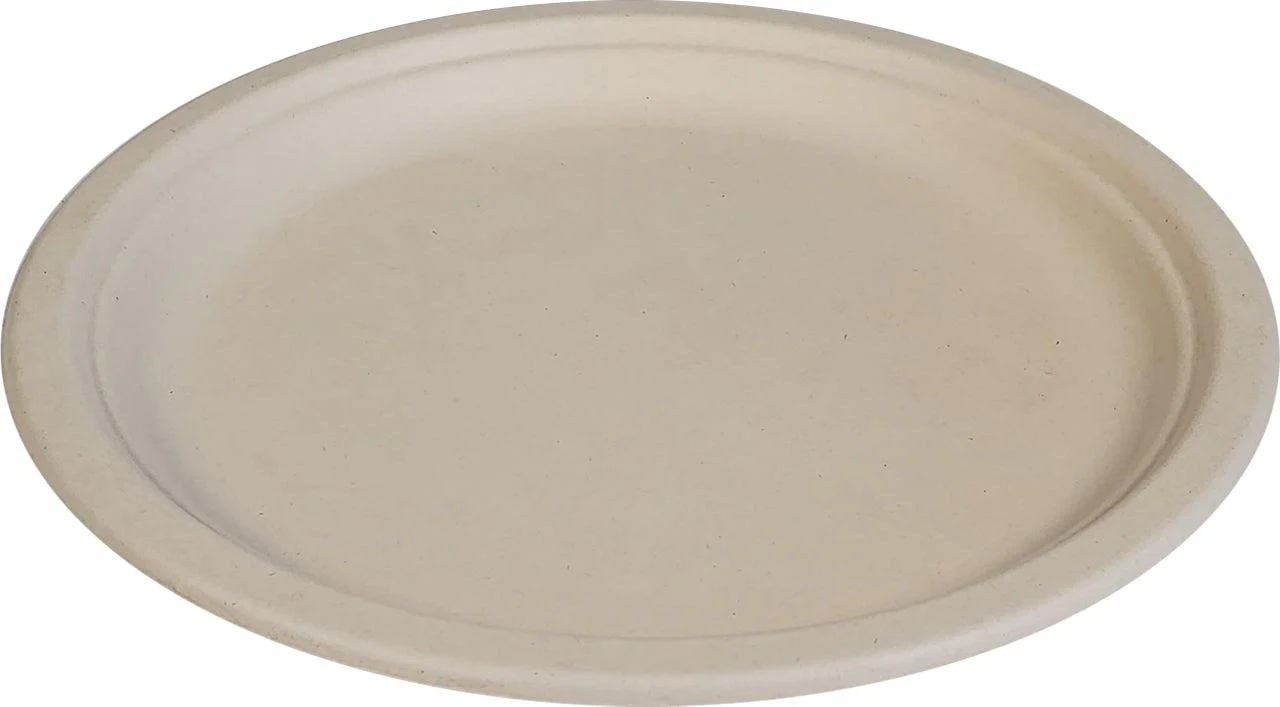 Eco-Craze - 10" Natural Round Plate - Bagasse - Image 2