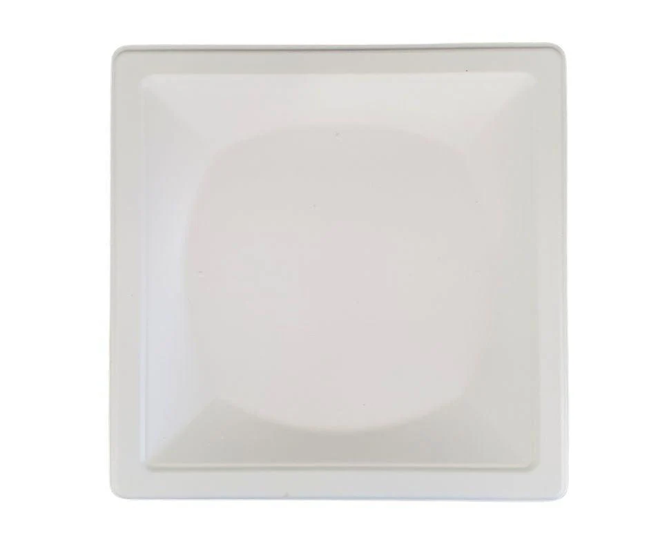 Eco-Craze - 10" Square Bagasse Plate - Retail Pack - Image 2