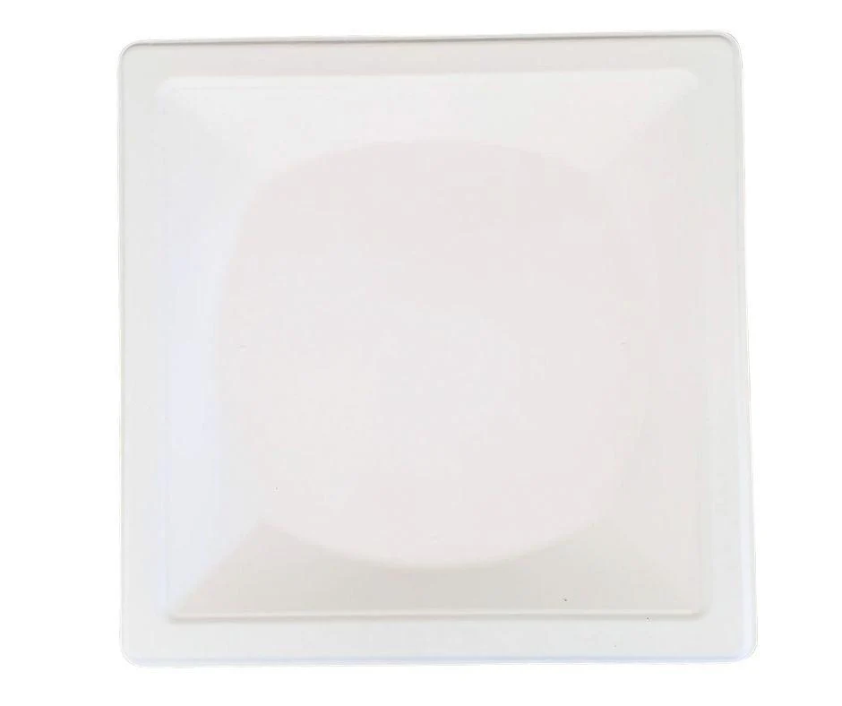 Eco-Craze - 10" Square Plate - Biodegradable - Image 3