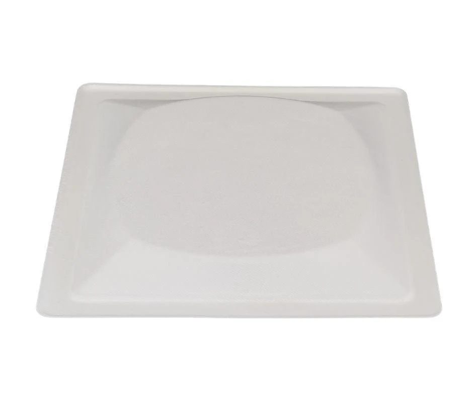 Eco-Craze - 10" Square Plate - Biodegradable - Image 4