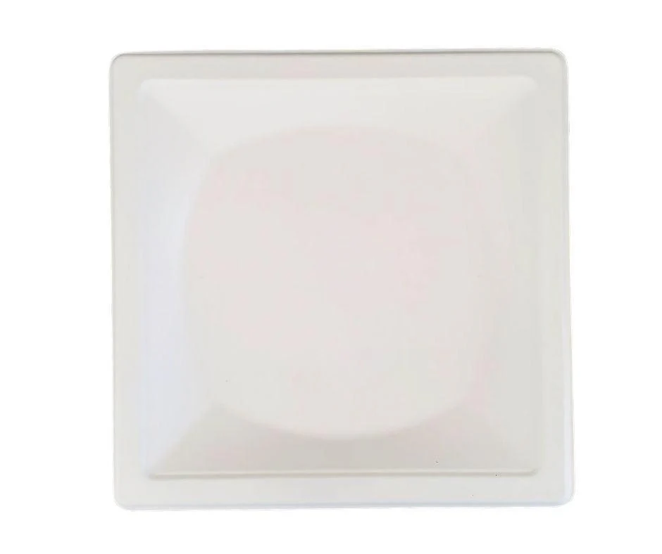 Eco-Craze - 10" Square Plate - Biodegradable - Image 5