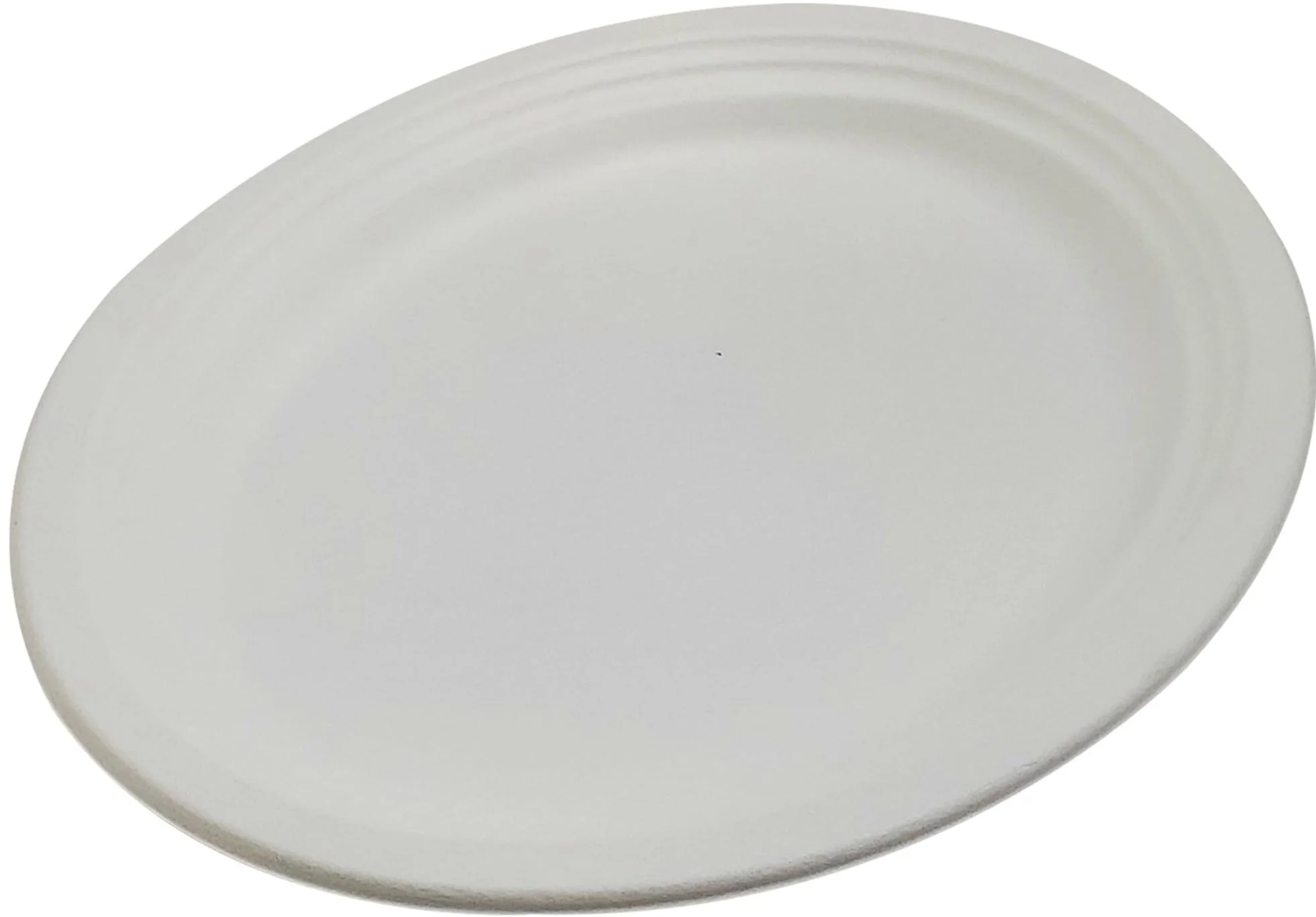 Eco-Craze - 12" Oval Plate - bagasse - Image 3
