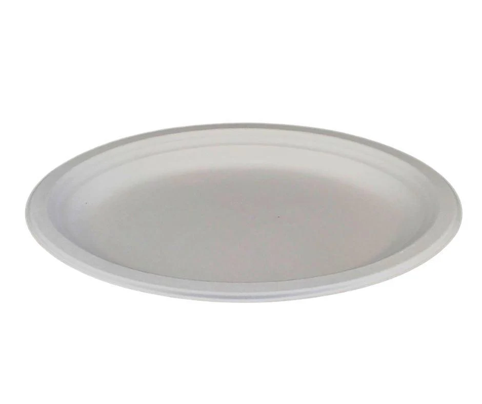 Eco-Craze - 12inch Oval Bagasse Plate - Retail Pack - Image 2