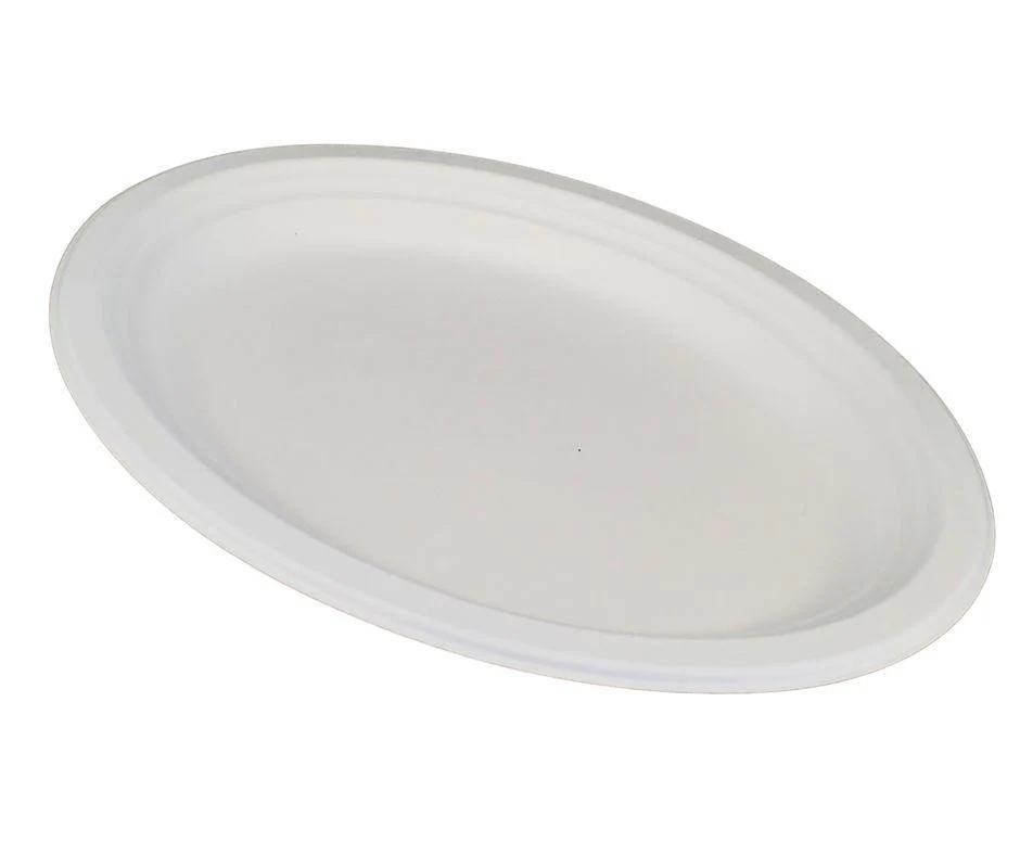 Eco-Craze - 12inch Oval Bagasse Plate - Retail Pack - Image 4