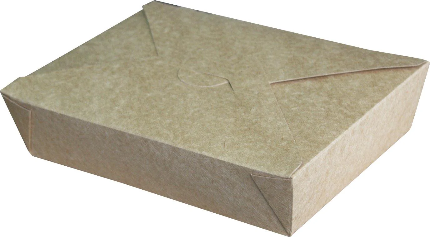 Eco-Craze - #2 Kraft Paper Fold Box - PFB02-K - Image 2