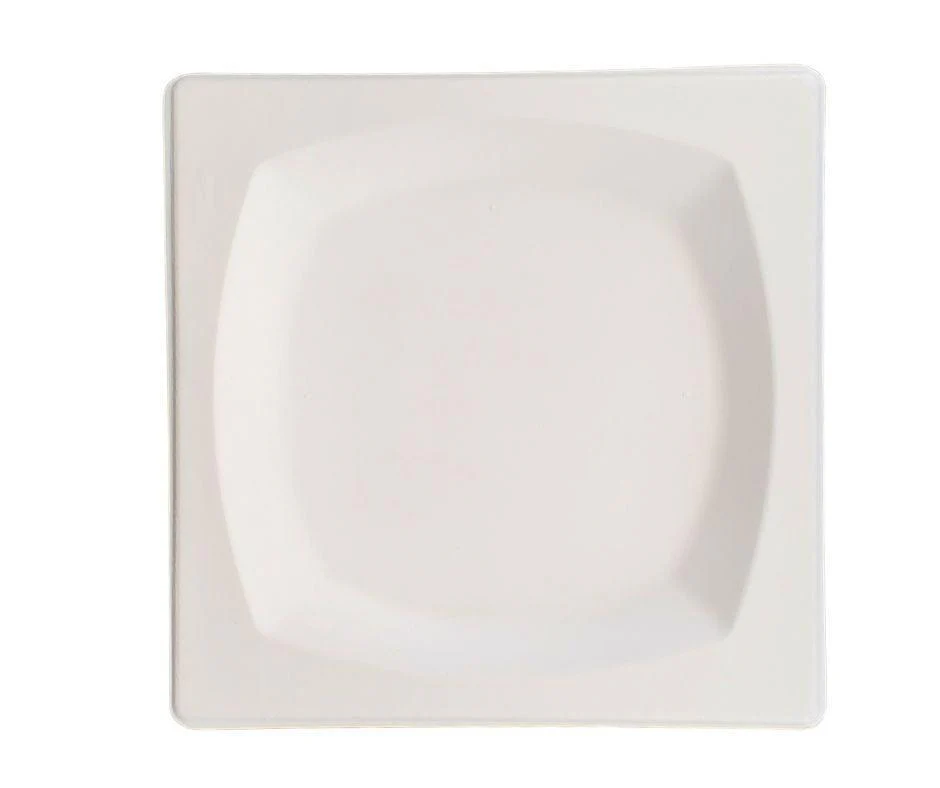 Eco-Craze - 8" Square Bagasse Plate - Retail Pack - Image 2