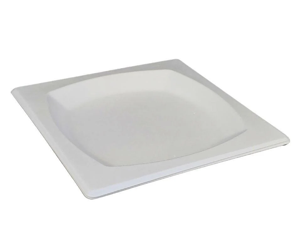 Eco-Craze - 8" Square Bagasse Plate - Retail Pack - Image 3