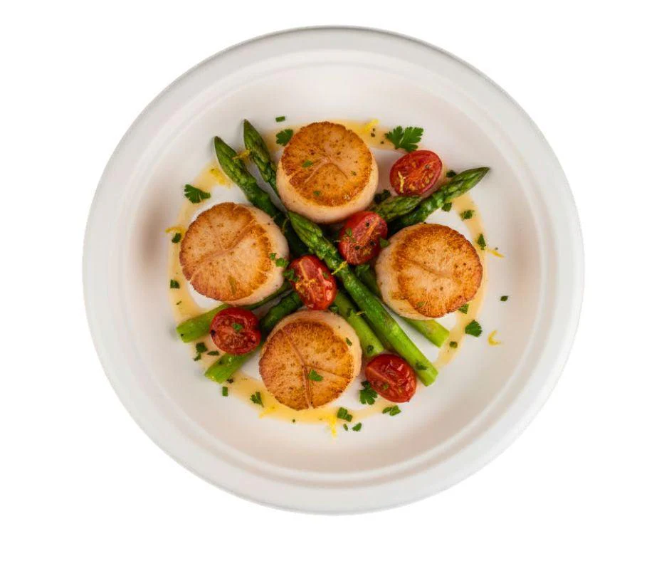 Eco-Craze - 9" Round Bagasse Plate - Retail Pack - Image 5