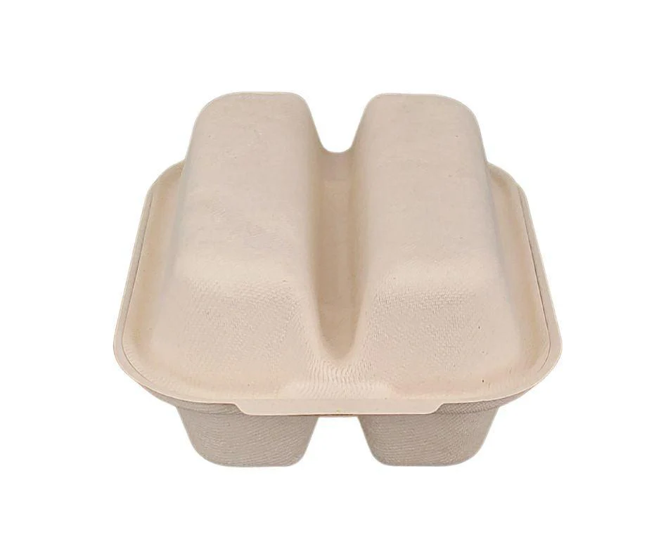 Eco-Craze - Taco - Bagasse Hinged Container - 2 COMPARTMENT - Image 7