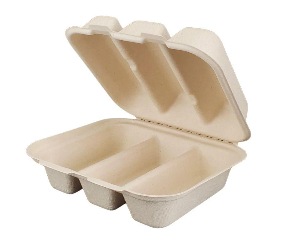 Eco-Craze - Taco - Bagasse Hinged Container - 3 COMPARTMENT - Image 3