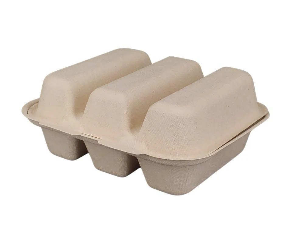 Eco-Craze - Taco - Bagasse Hinged Container - 3 COMPARTMENT - Image 4