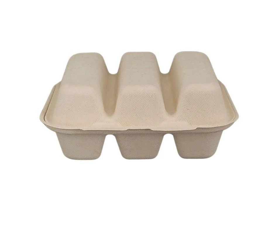 Eco-Craze - Taco - Bagasse Hinged Container - 3 COMPARTMENT - Image 8