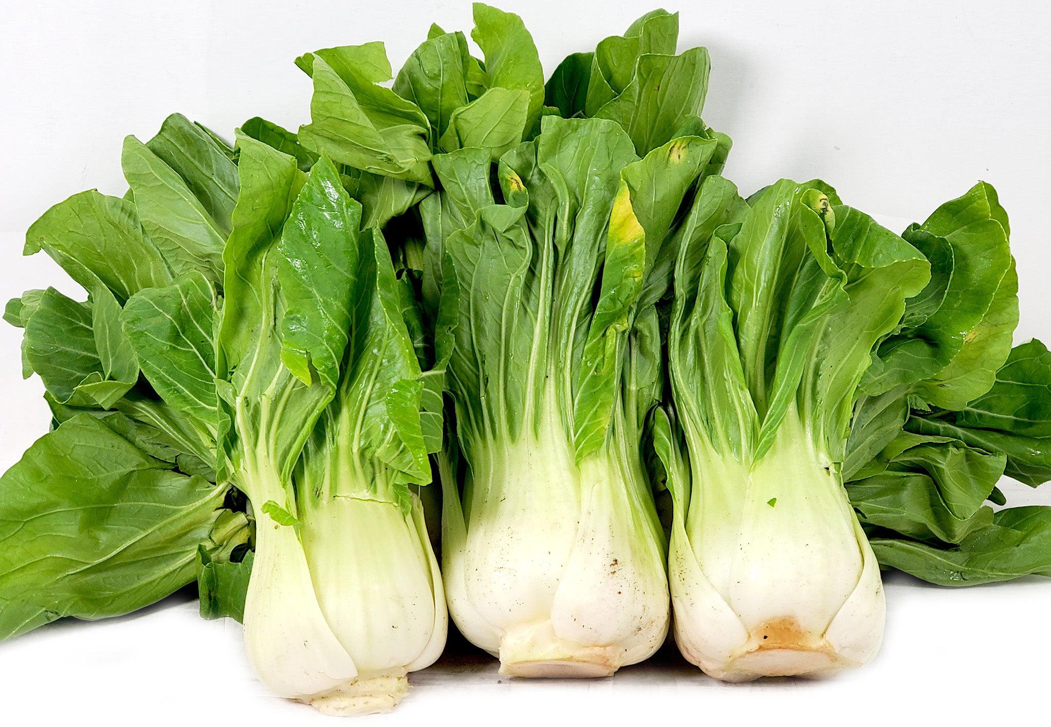 Fresh - Bokchoy - Shanghai - Image 2