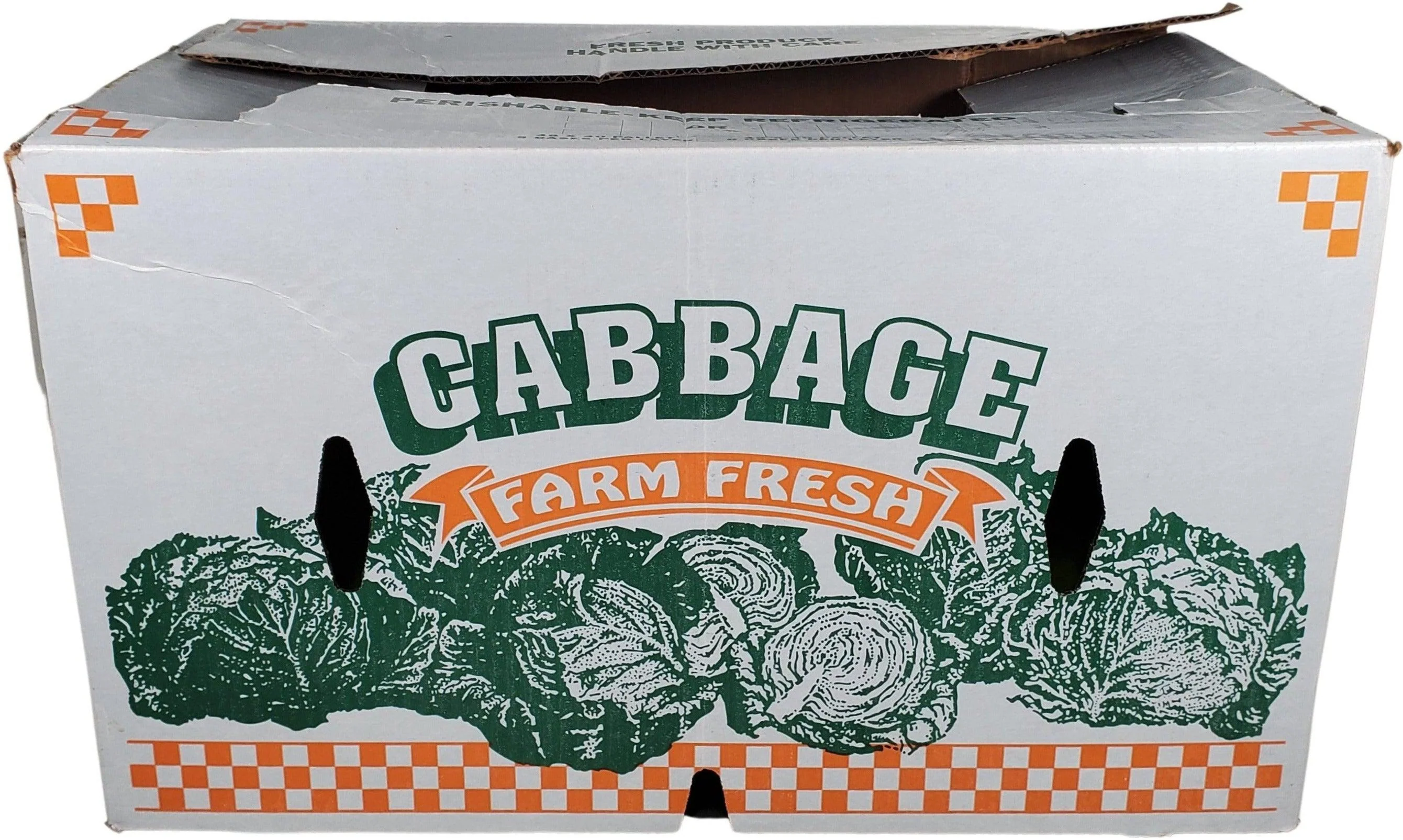 Fresh - Cabbage - Green - Image 4
