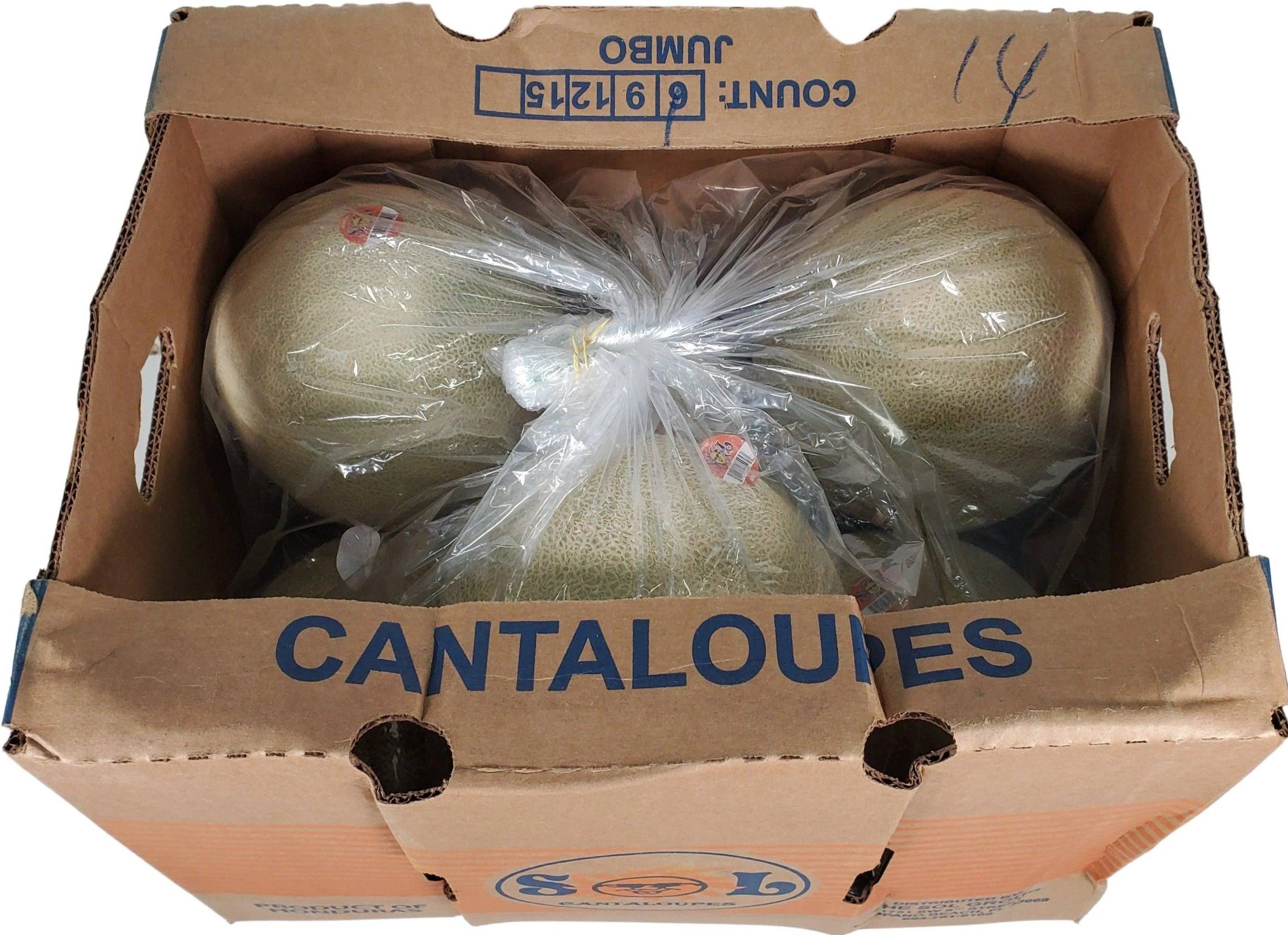 Fresh - Cantalope - Jumbo - Image 3