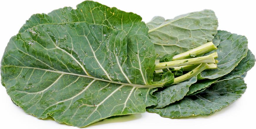 Fresh - Collards - Image 2