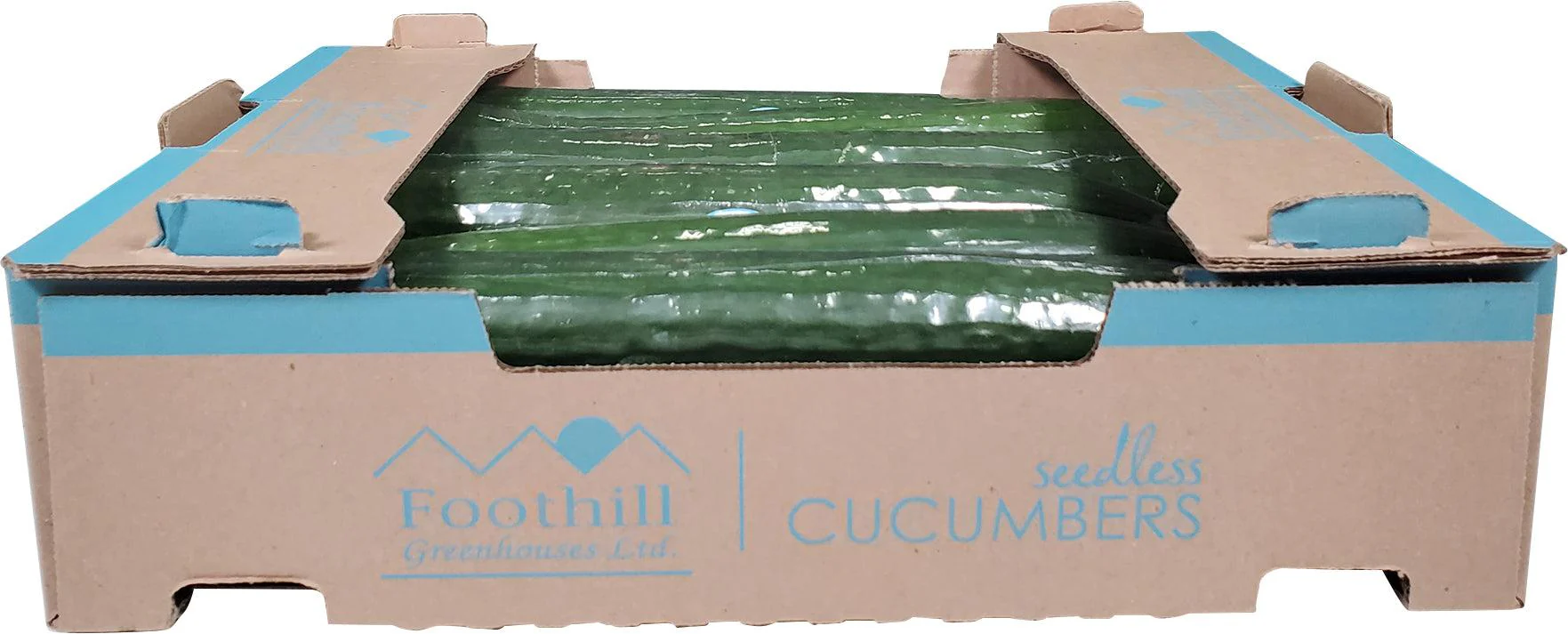 Fresh - Cucumber - English - Image 3