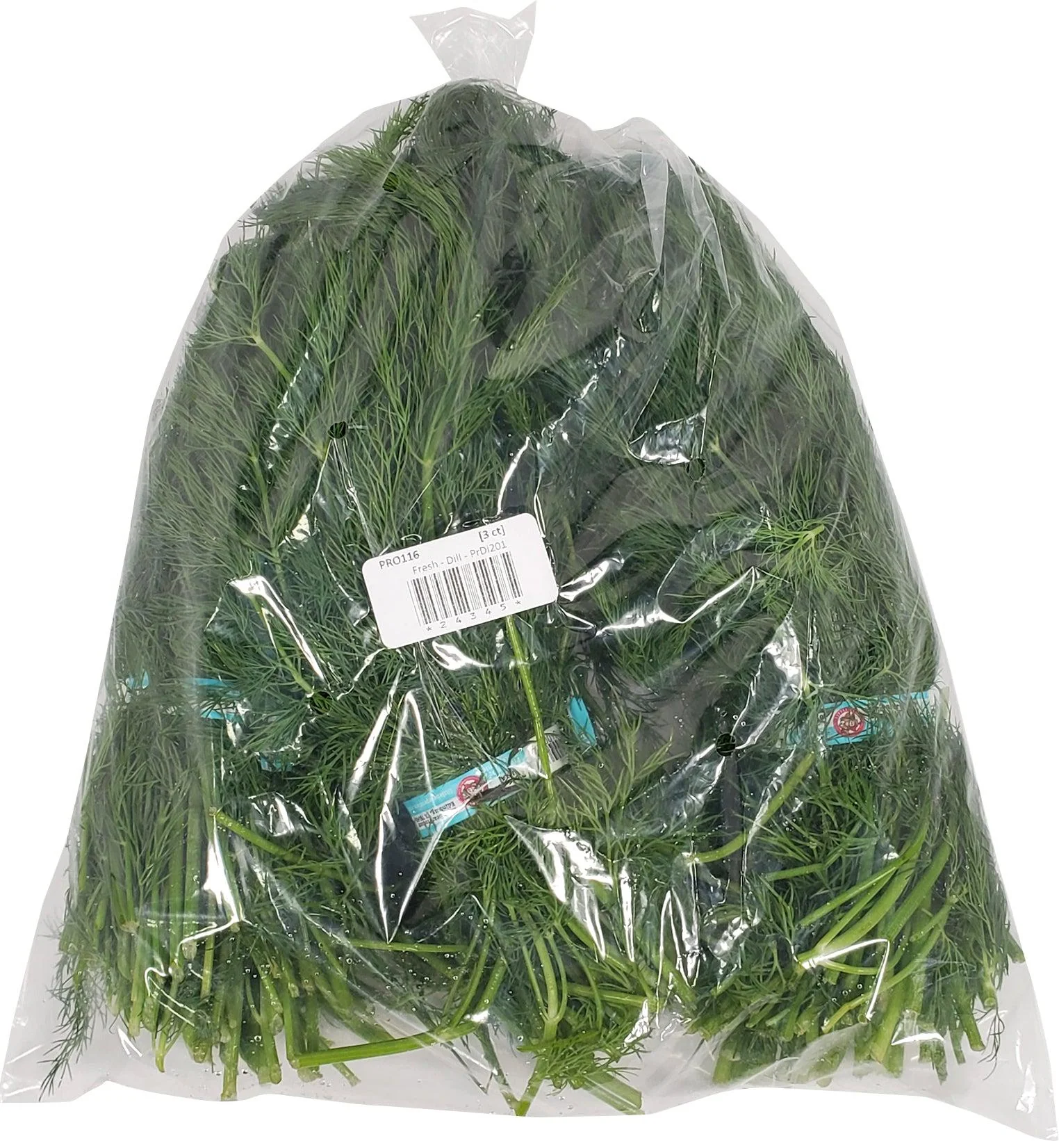 Fresh - Dill - Image 2