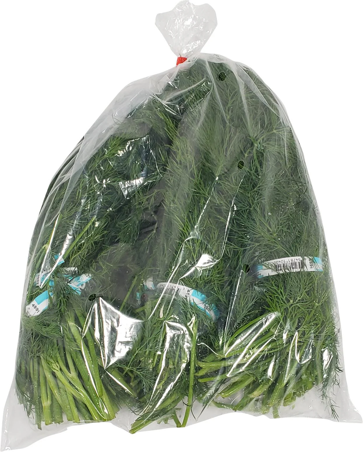Fresh - Dill - Image 3