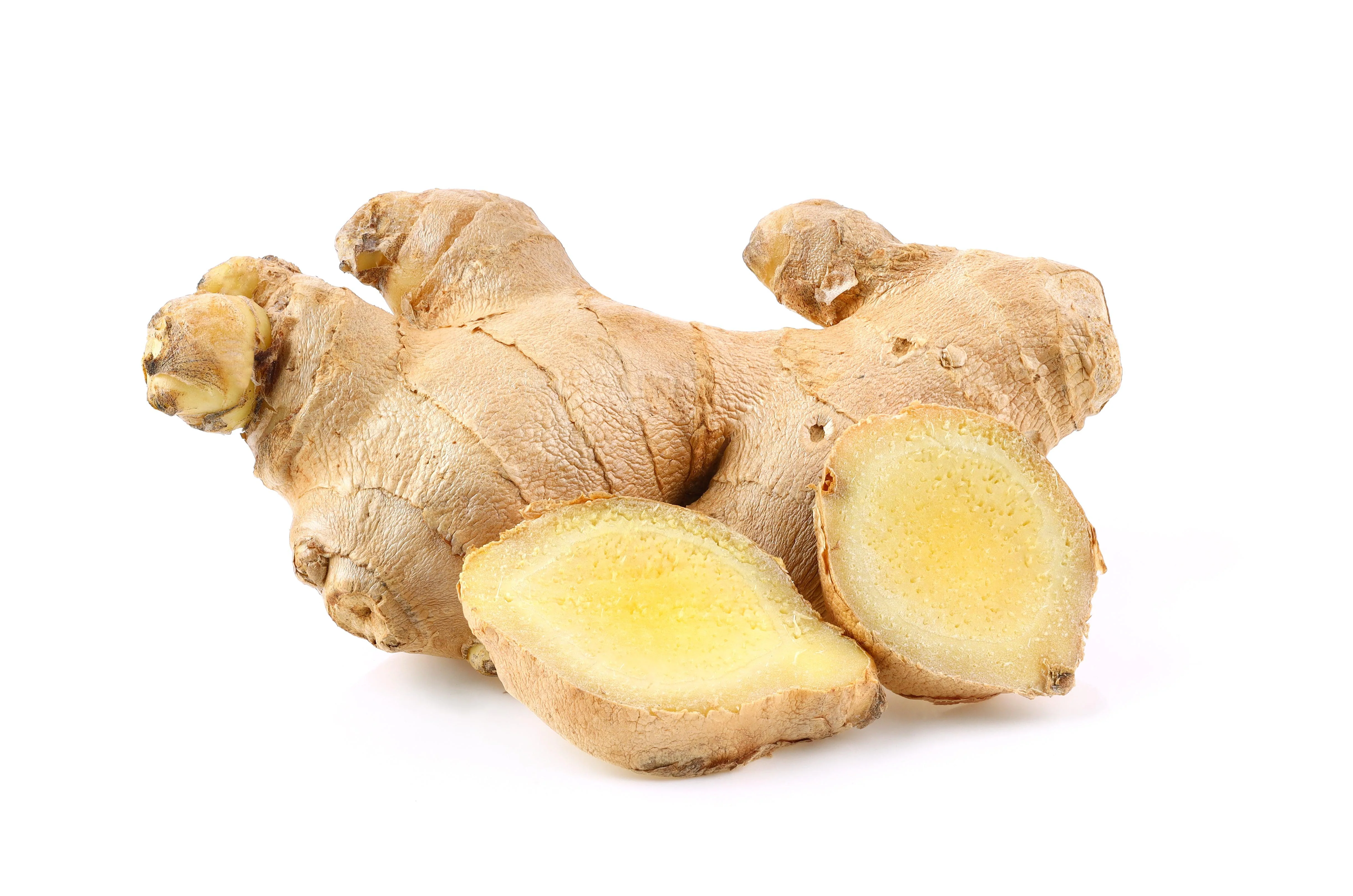 Fresh - Ginger - Image 2