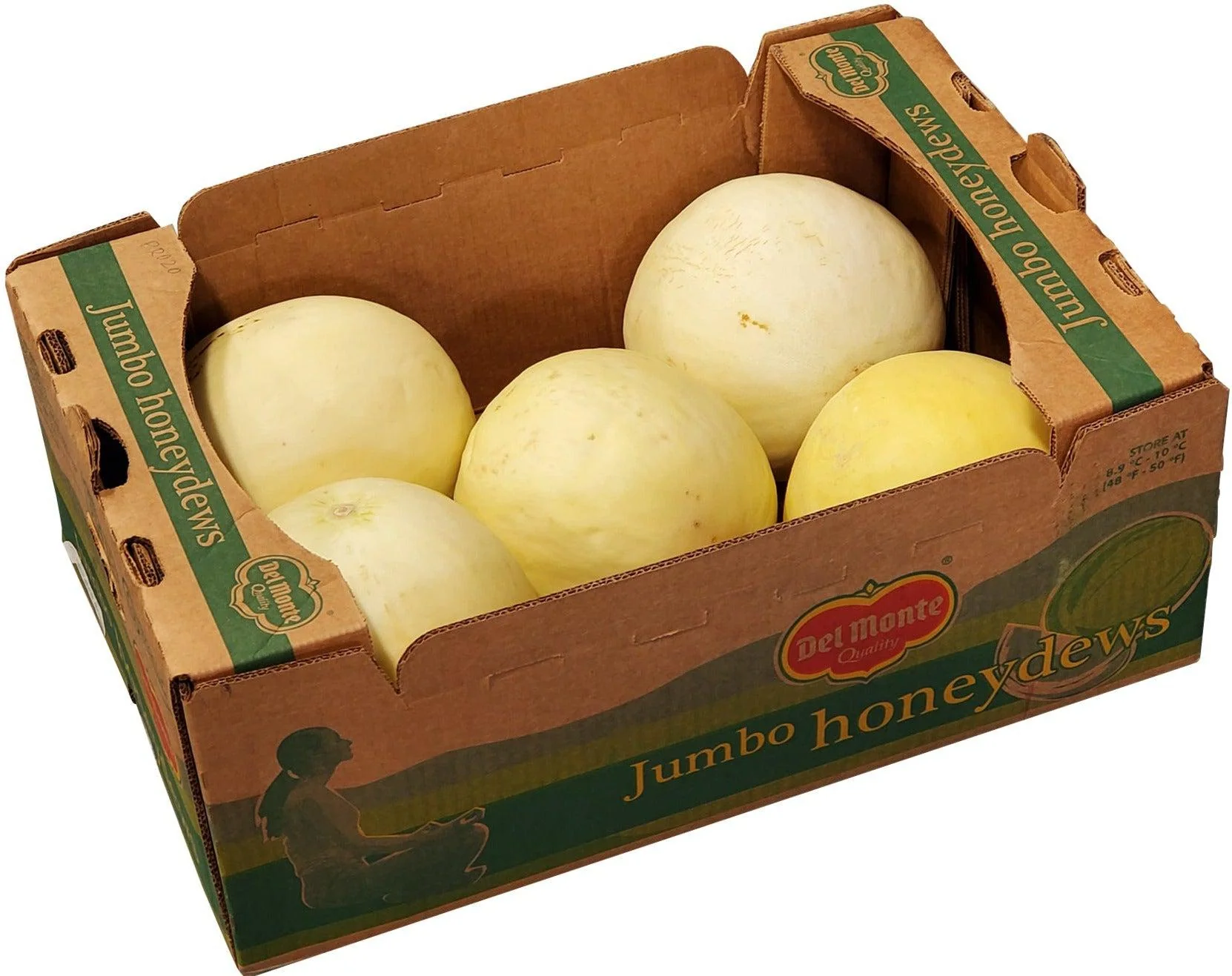 Fresh - Honeydew - Large - Image 3