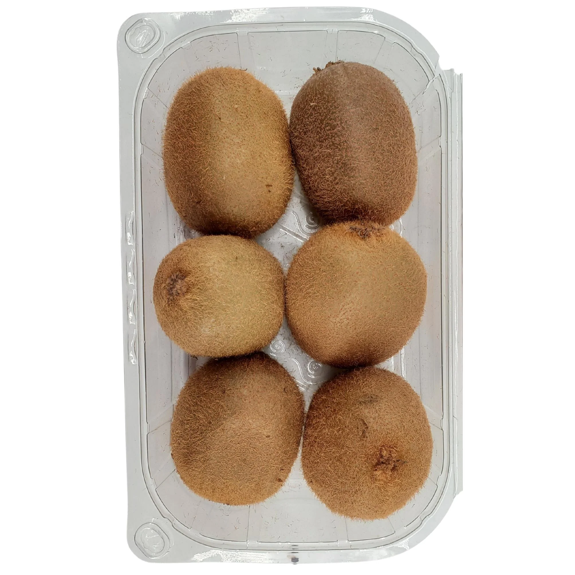 Fresh - Kiwi - Image 3