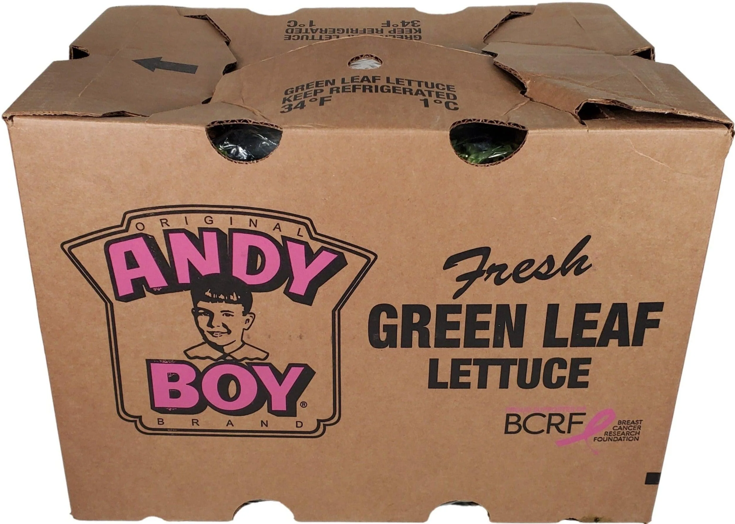 Fresh - Lettuce - Green Leaf - Image 2