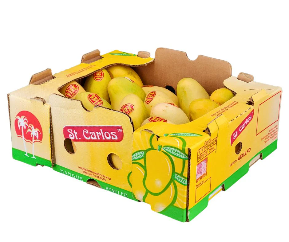 Fresh - Mango Ataulfo - Size 16 - Image 2