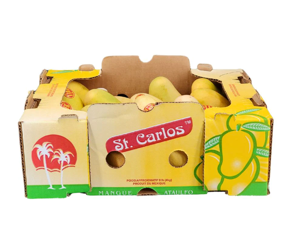 Fresh - Mango Ataulfo - Size 16 - Image 4