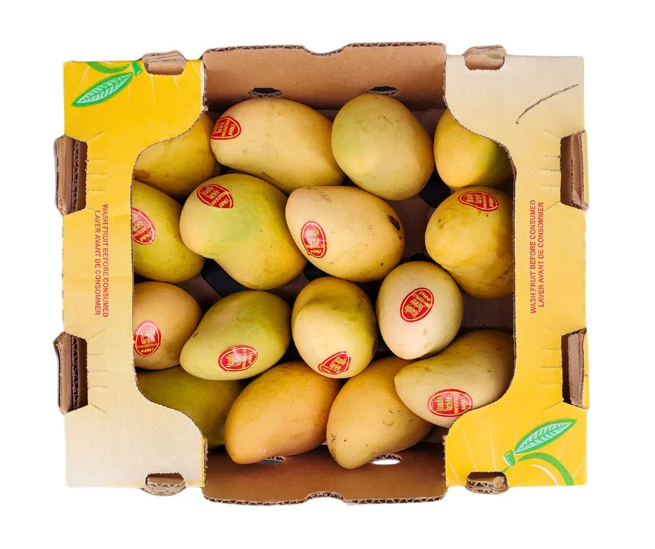 Fresh - Mango Ataulfo - Size 16 - Image 5