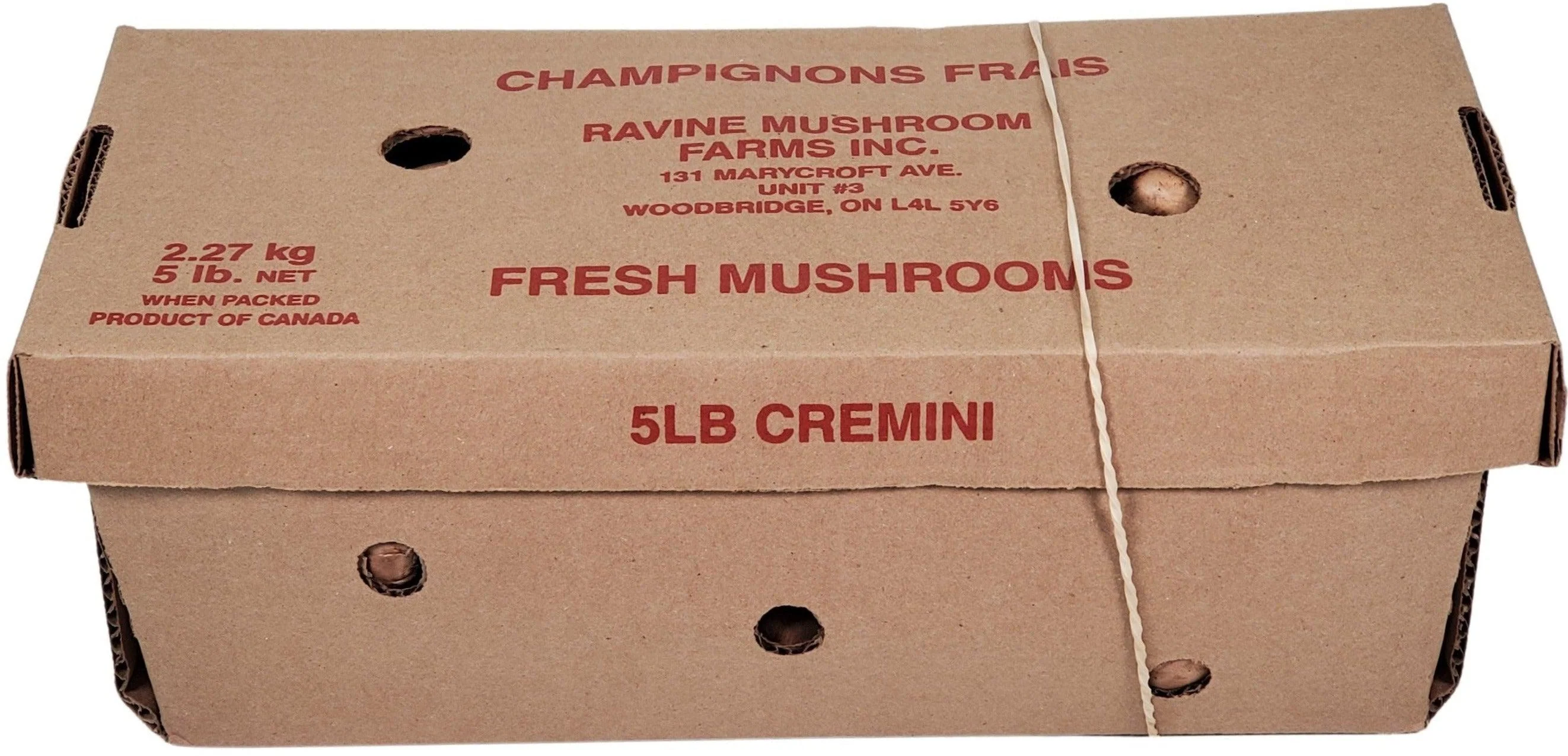 Fresh - Mushrooms - Brown - Image 2