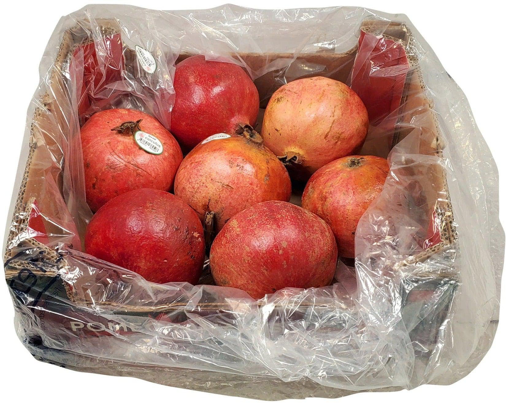 Fresh - Pomegranate - Size 9 - Image 2