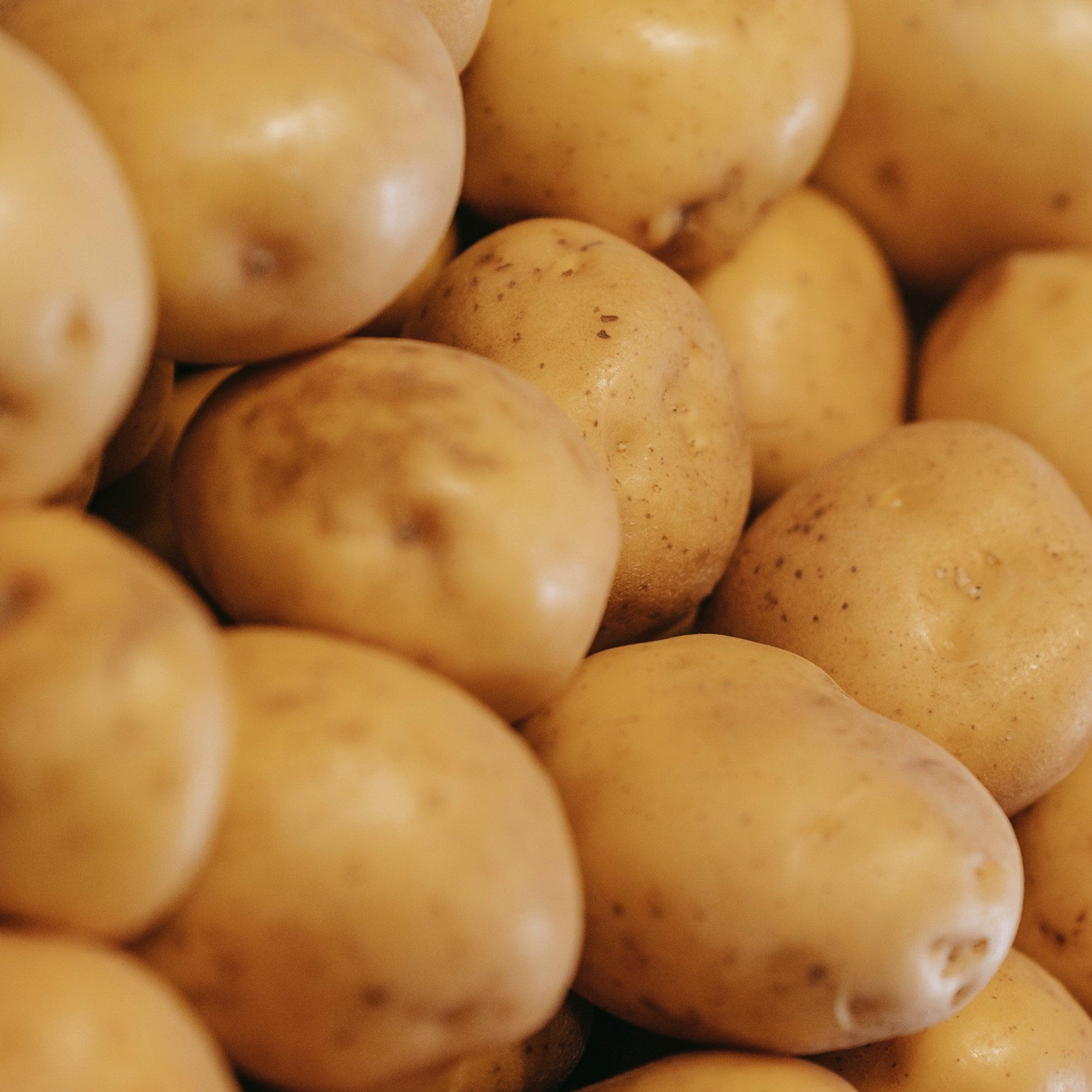 Fresh - Potato - White - Image 2