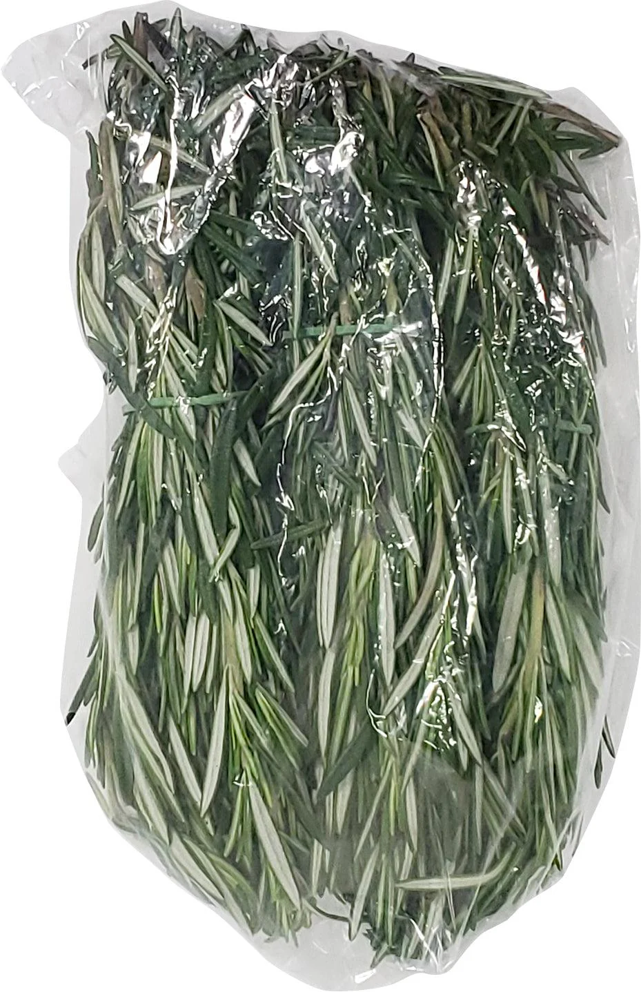 Fresh - Rosemary - Image 3