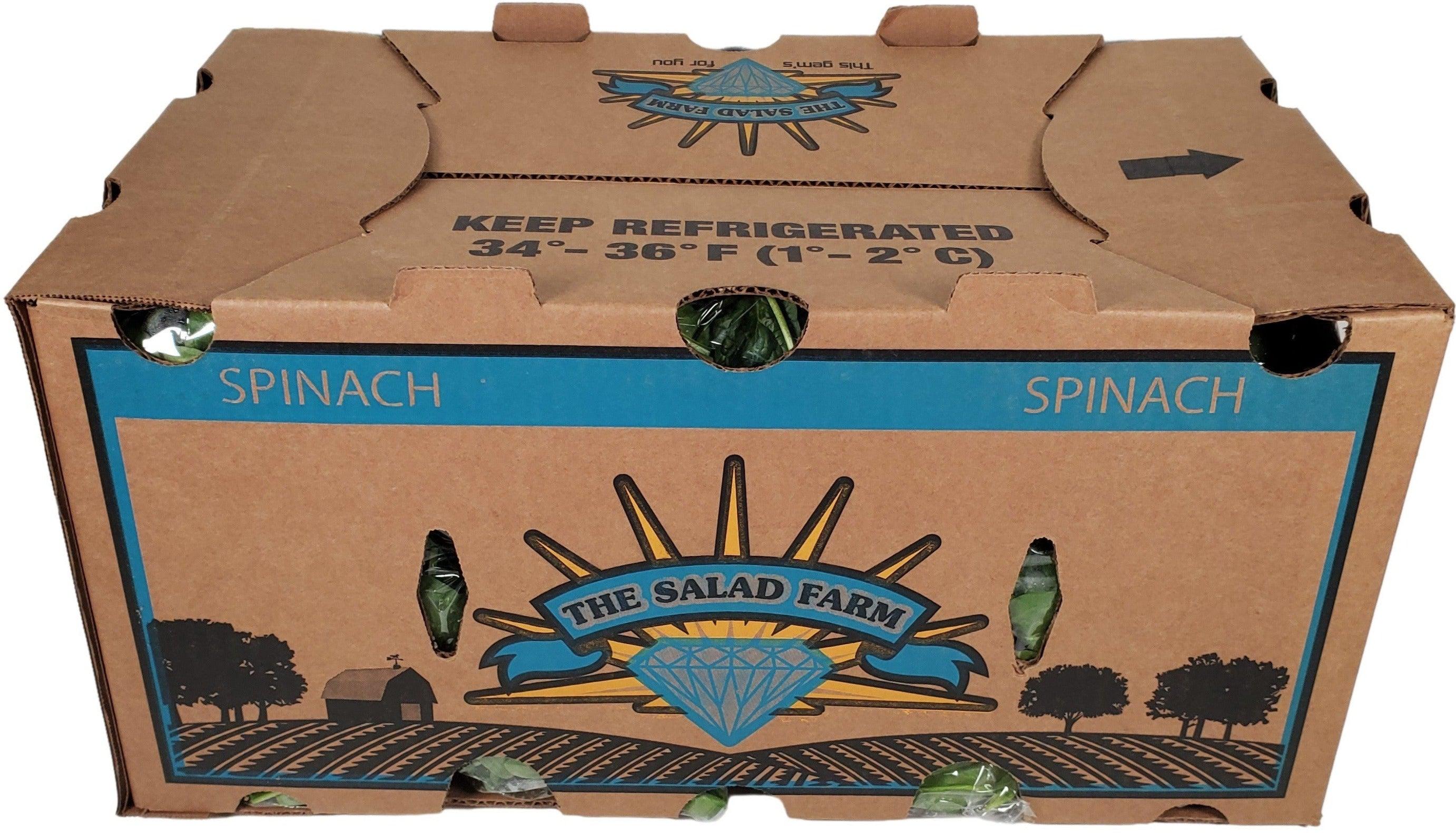 Fresh - Spinach - Baby - Image 2
