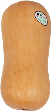 Fresh - Squash - Butternut - Image 2