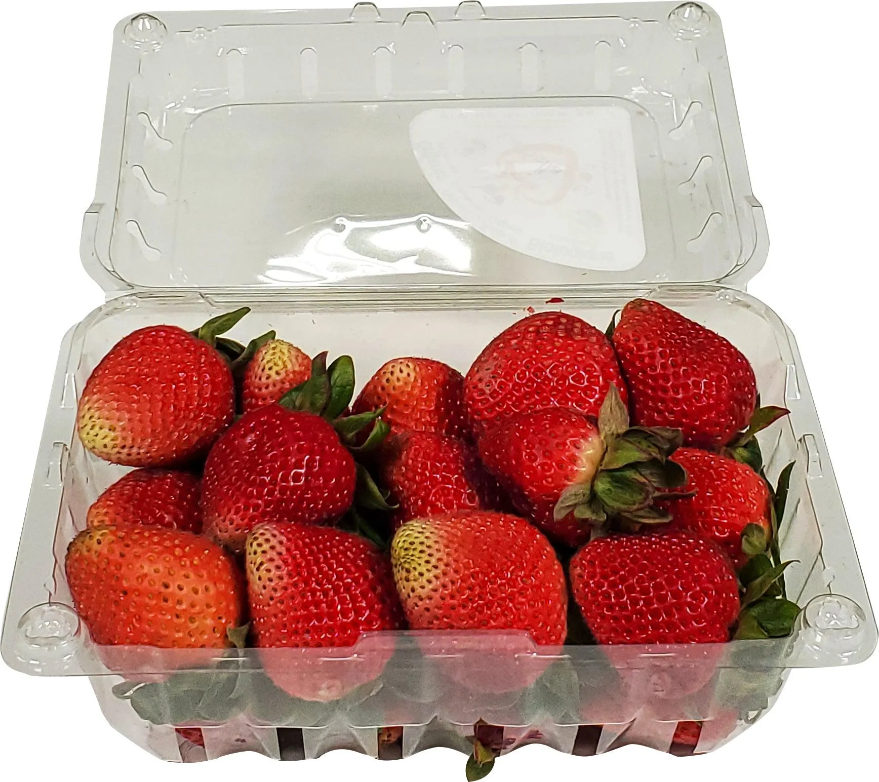 Fresh - Strawberry - Image 2