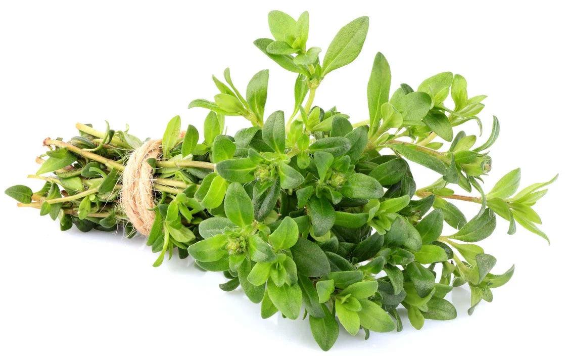 Fresh - Thyme Green - Image 2