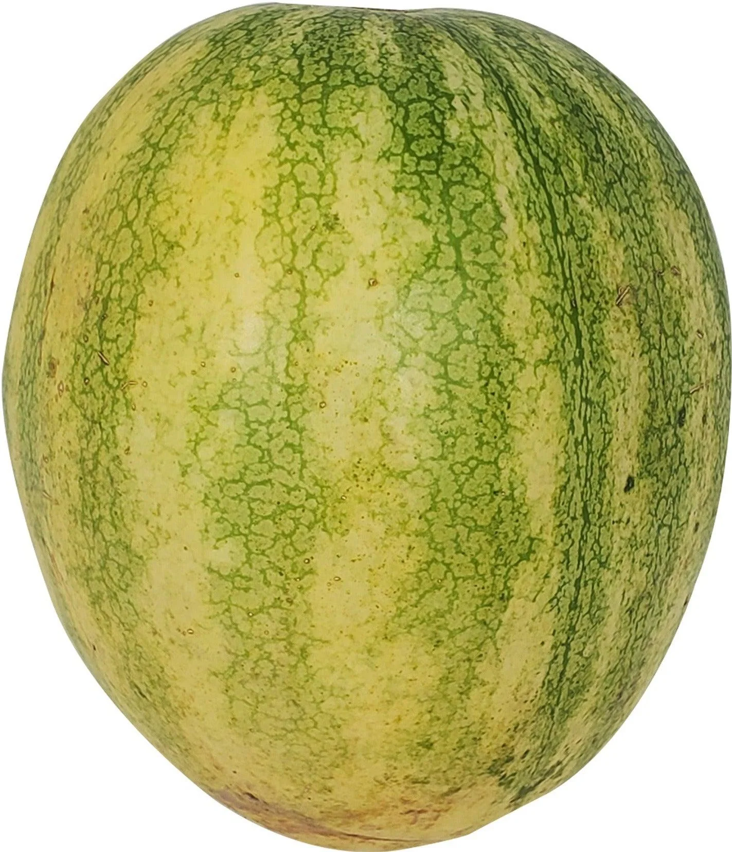 Fresh - Watermelon - Seedless - X-Large - Image 2
