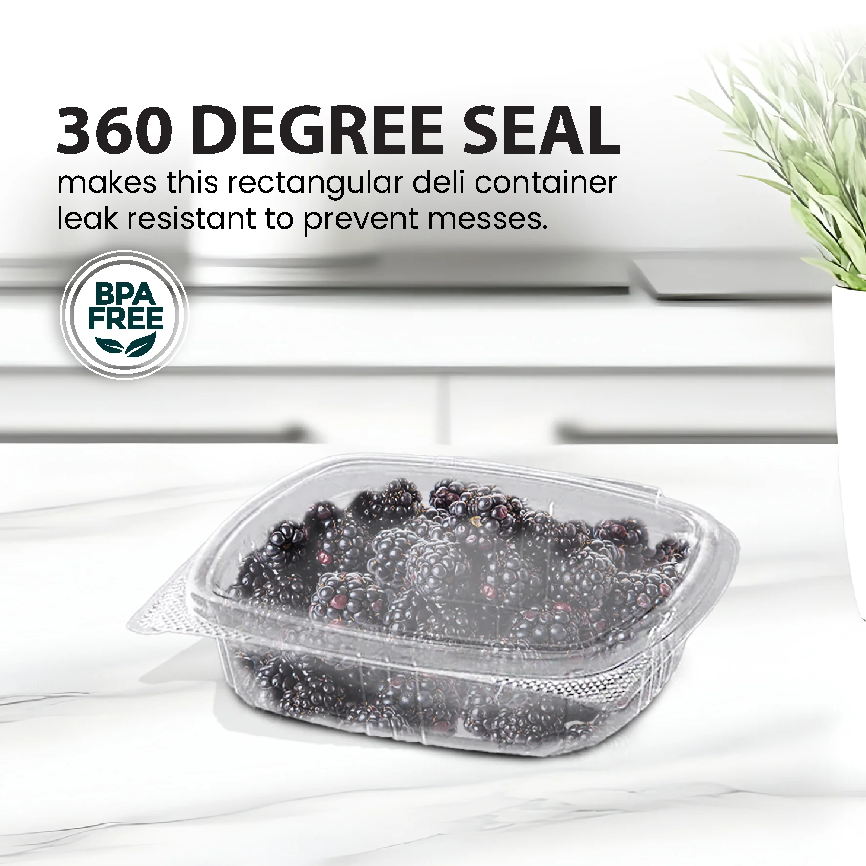 Genpak - Hinged Deli Container - Clear - 6oz - AD06 - Image 5