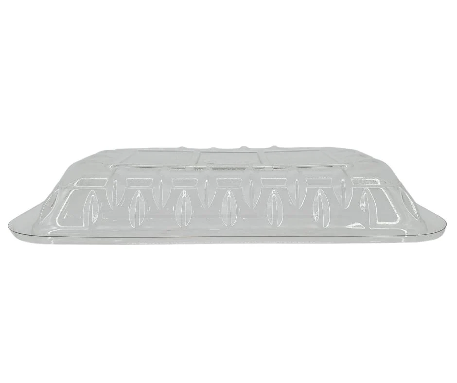 HQ2 - Clear Plastic Meat Tray - #2 - Image 5