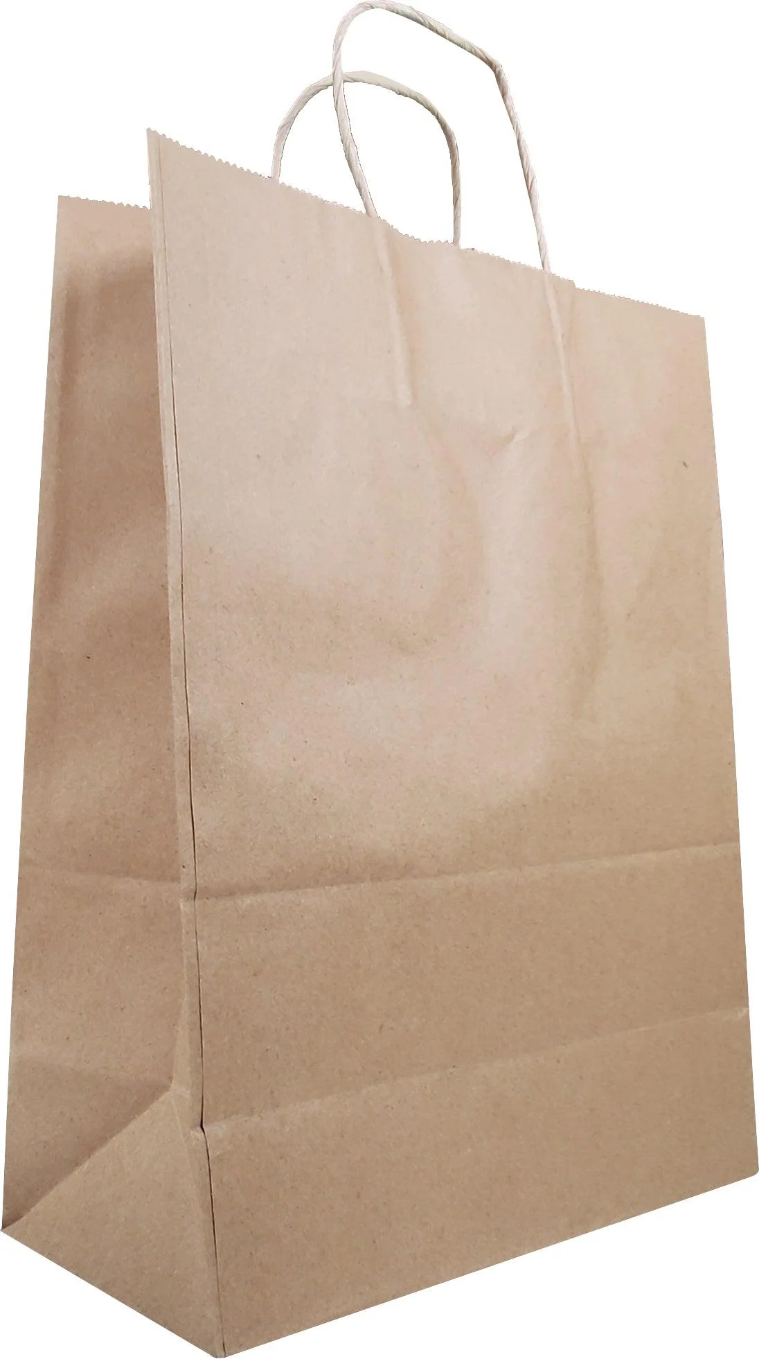 Eco-Craze - 10x5x13 Kraft Paper Bag - Twisted Handle - Image 3
