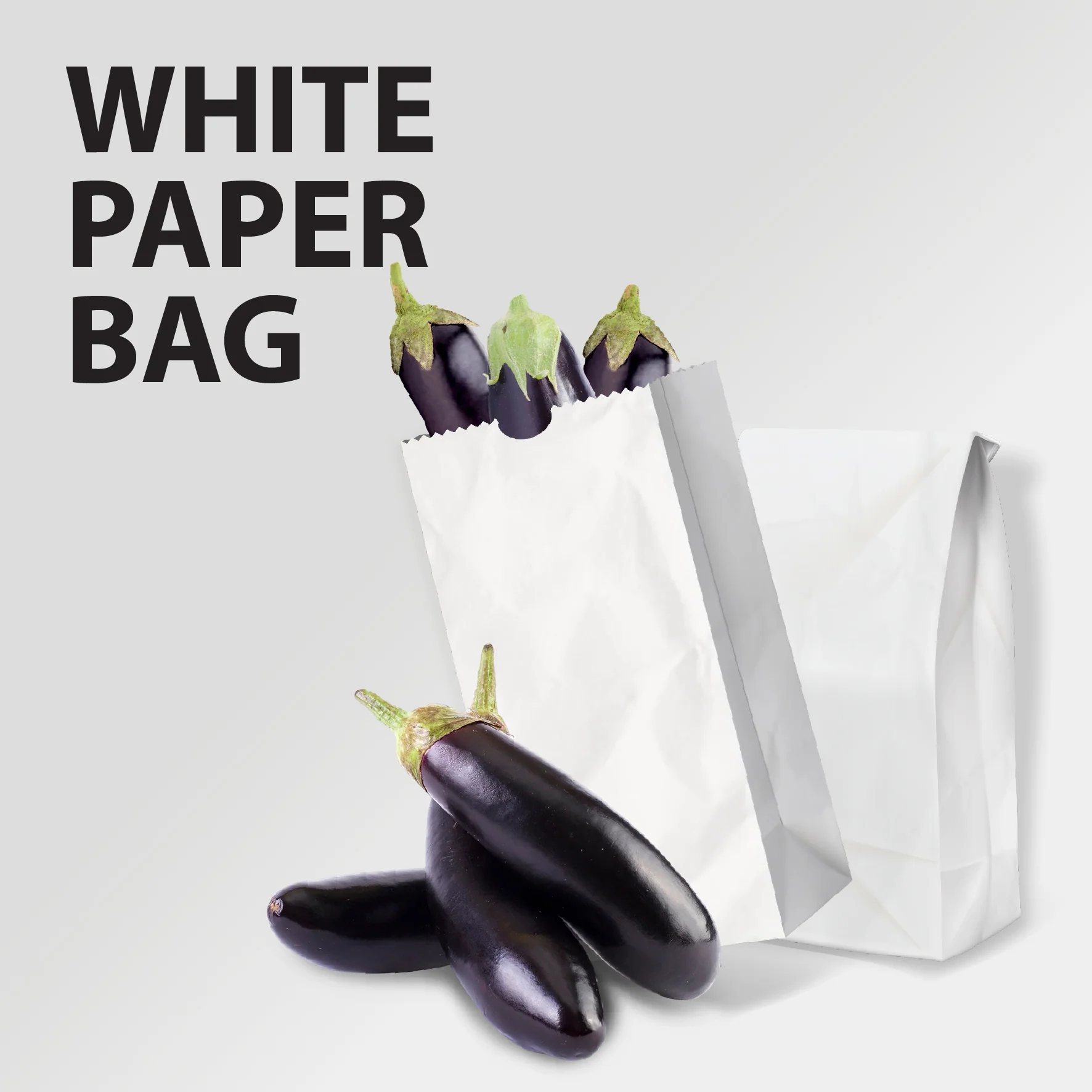 Paper Bags - White - #10 - Made in Canada - Image 6