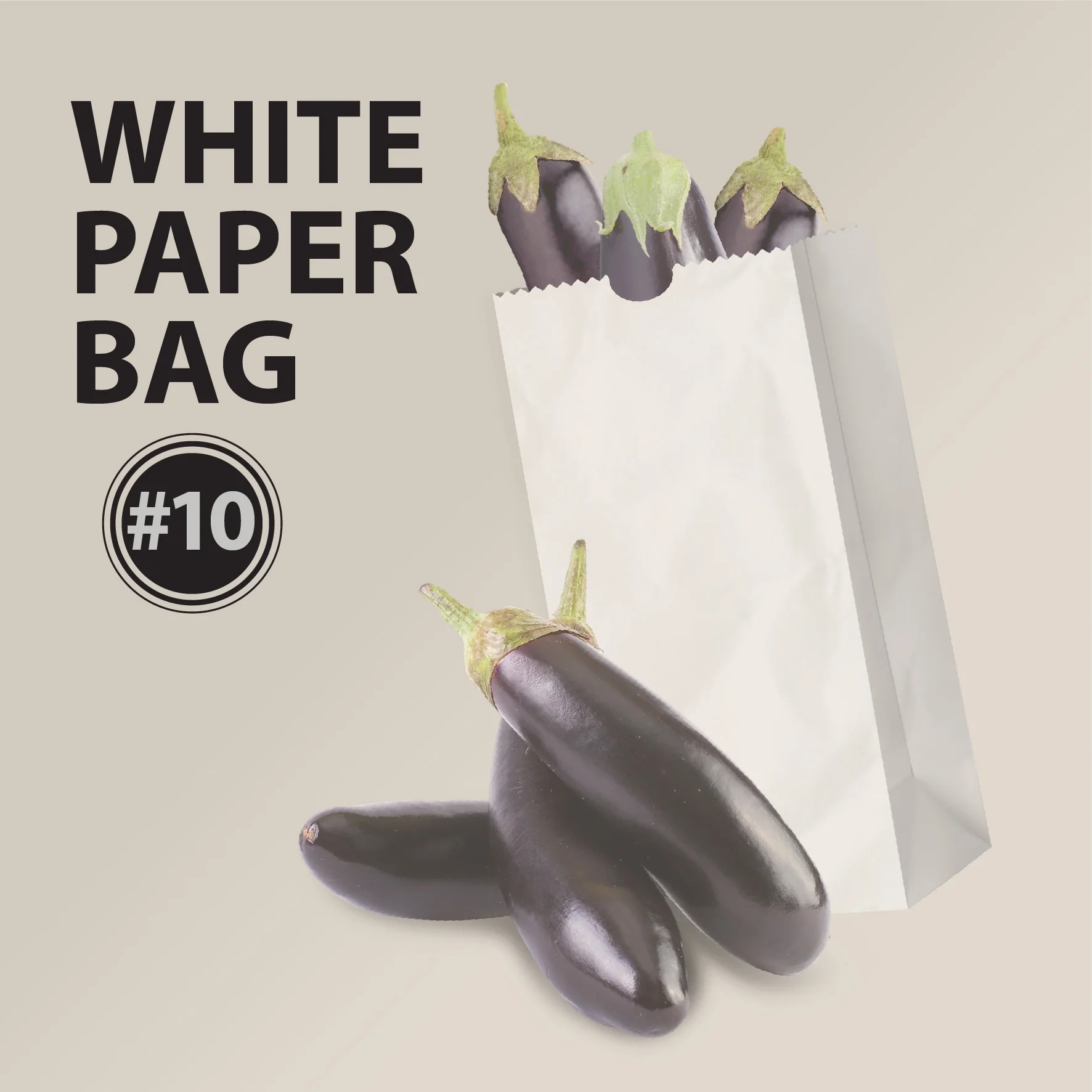 Paper Bags - White - #10 - Made in Canada - Image 8