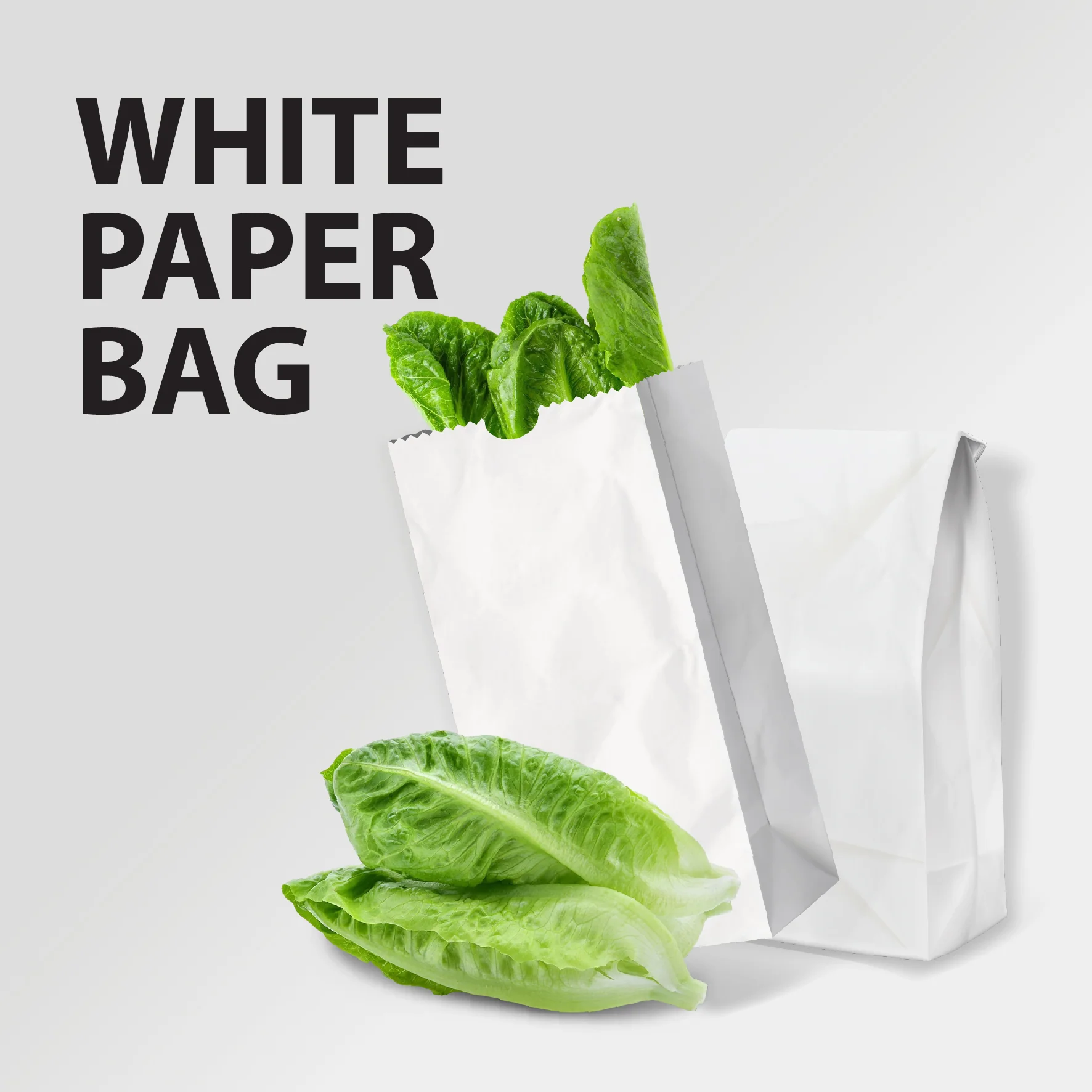 Paper Bags - White - #8 - Made in Canada - Image 6